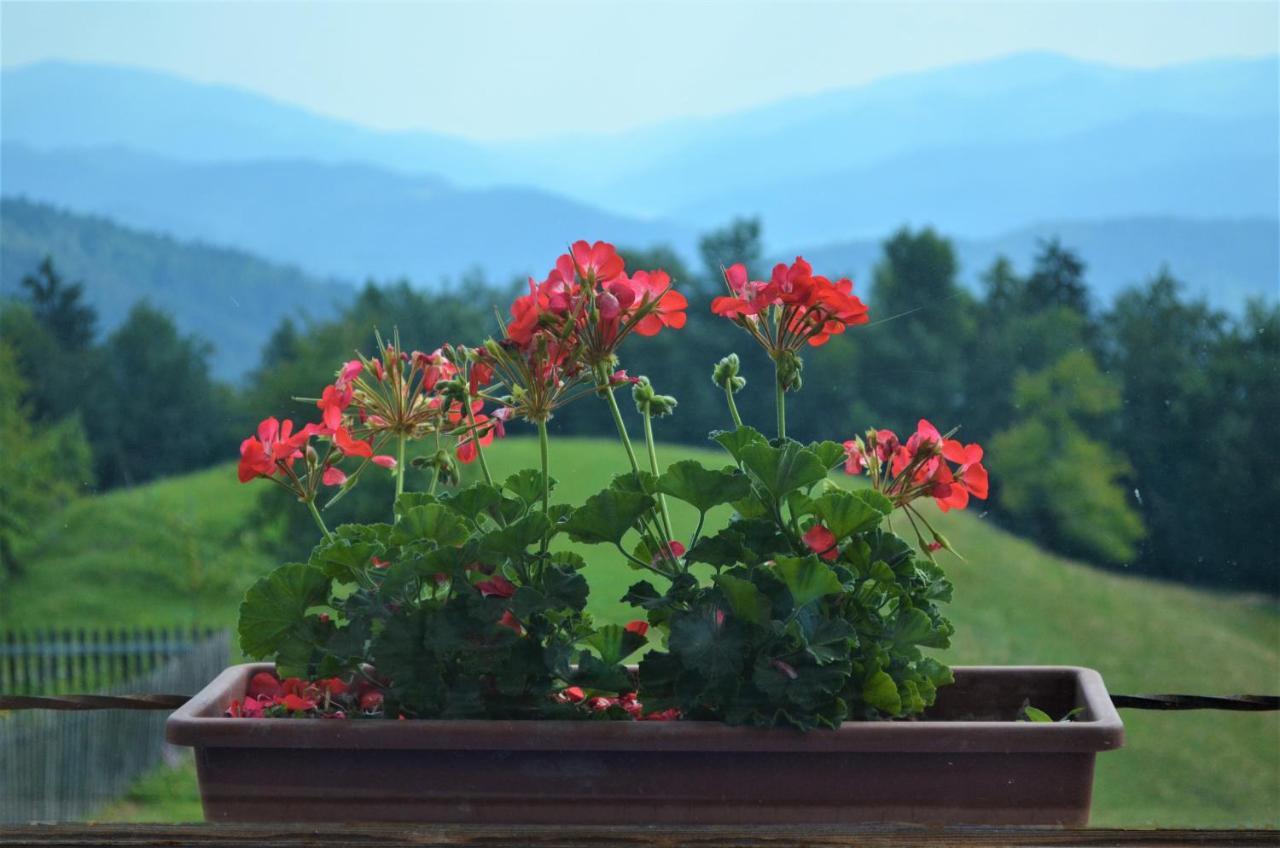 Healing Farm Apartment Gorenja Vas  Exterior photo