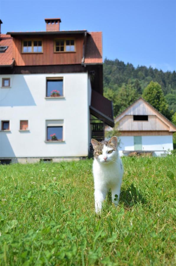 Healing Farm Apartment Gorenja Vas  Exterior photo
