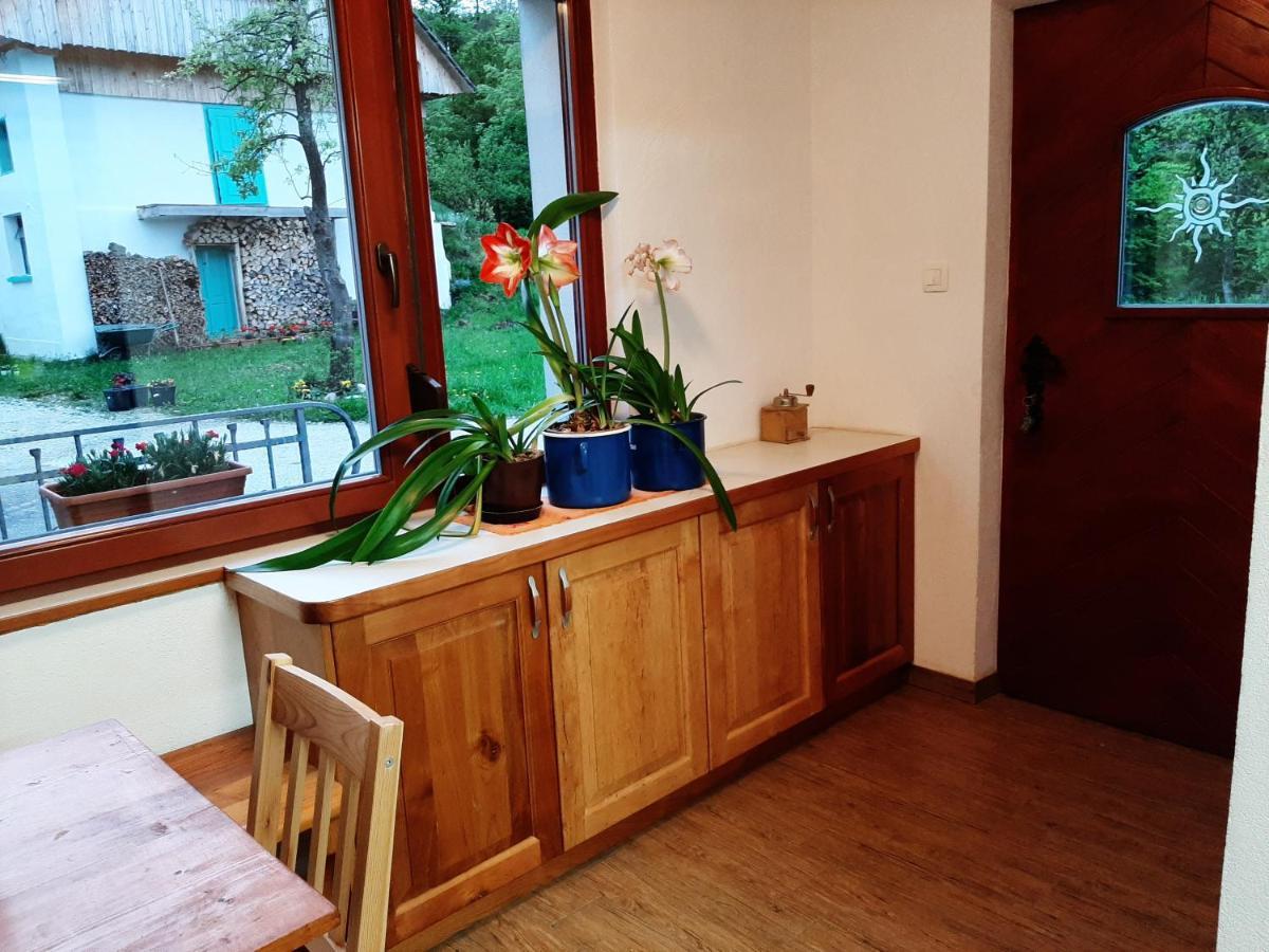 Healing Farm Apartment Gorenja Vas  Exterior photo